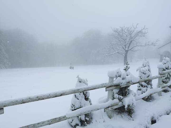 Prima nevicata della stagione nel piacentino