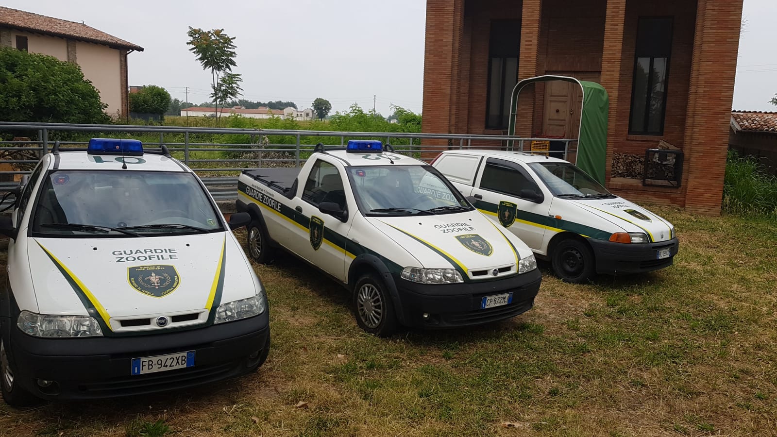 animali morti guardie zoologiche