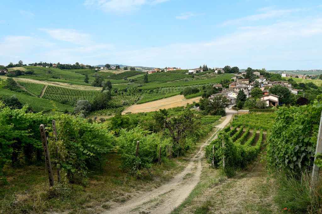 Decima edizione del Valtidone Wine Fest