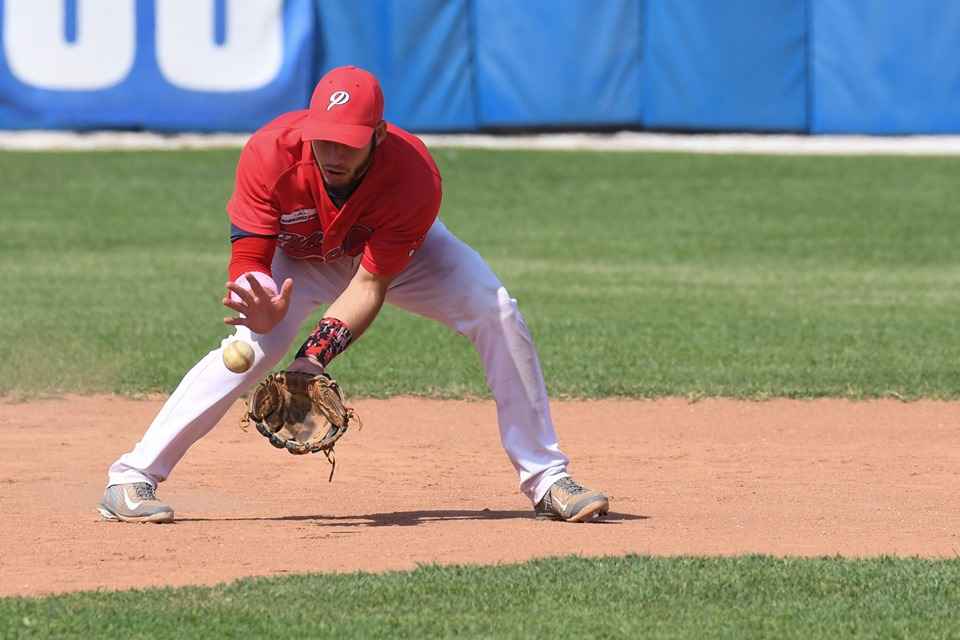 piacenza baseball