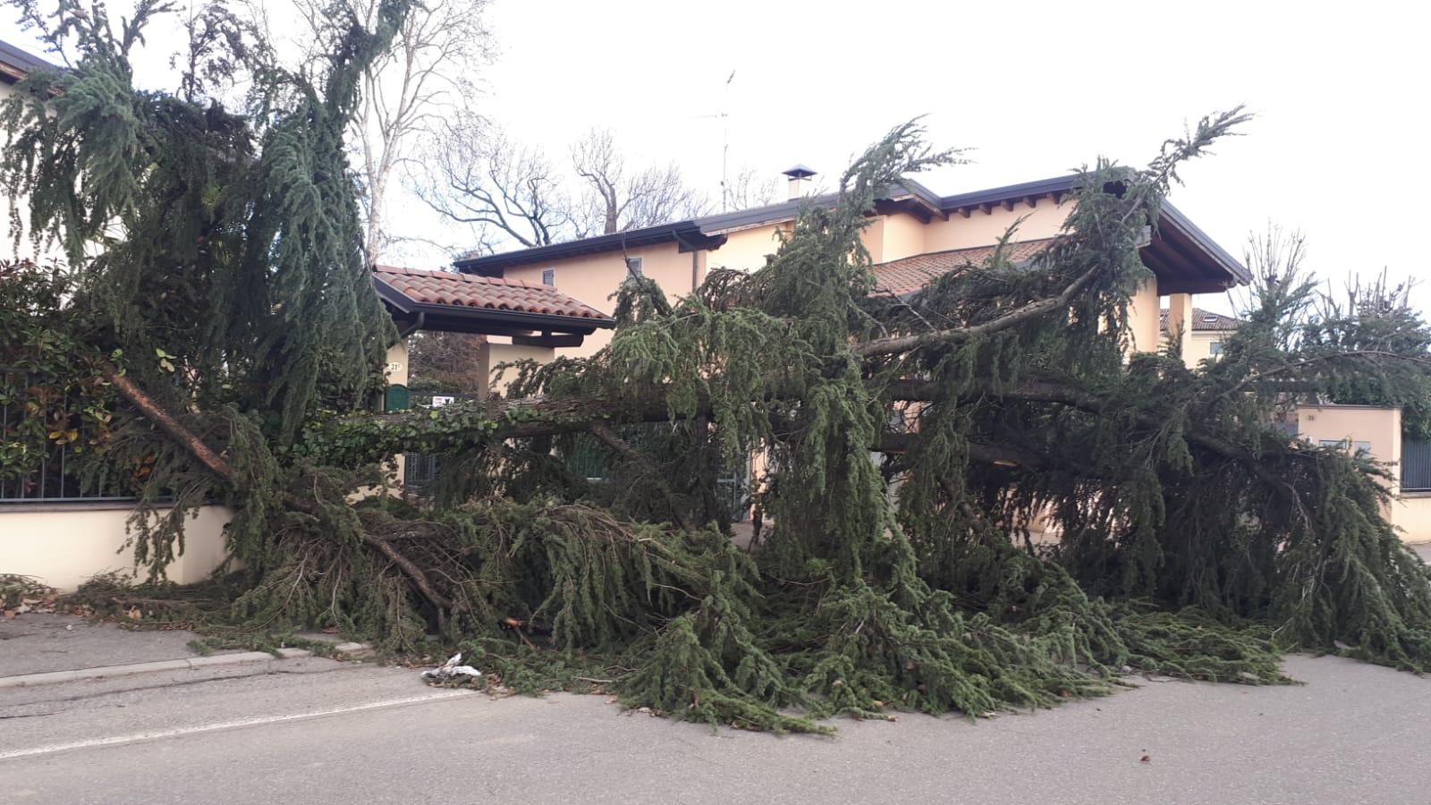 Forti raffiche di vento in città