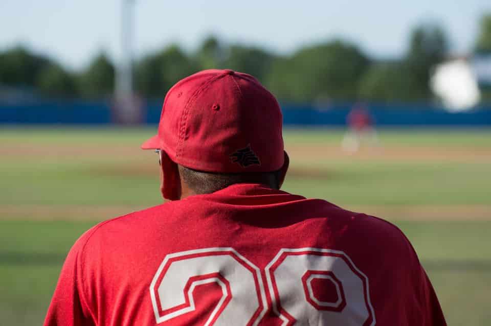 piacenza baseball