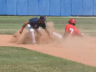 piacenza baseball