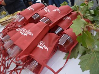 Valtidone Wine Fest, la Smart Edition 2020 al via a Borgonovo