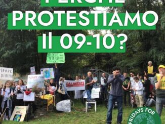 Fridays for Future a Piacenza