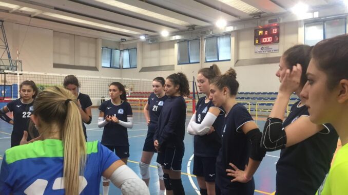 miovolley