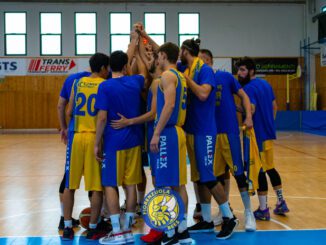 pallacanestro fiorenzuola bees