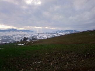 “Un anno in Alta Val Tidone”, il contest fotografico del Comune per promuovere l’Alta Val Tidone - AUDIO