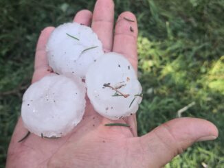 Val d'Arda, danni a causa della grandine,