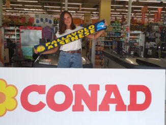 conad alsenese