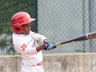 piacenza baseball