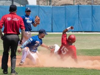 piacenza baseball