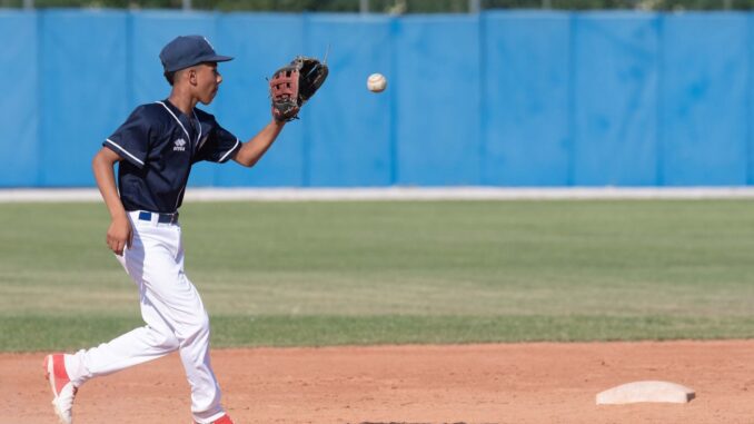 piacenza baseball