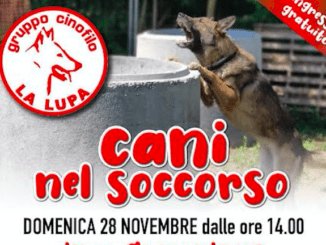 cani nel soccorso