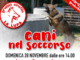 cani nel soccorso