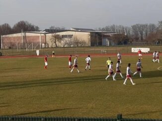 calcio dilettanti