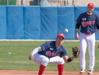 piacenza baseball