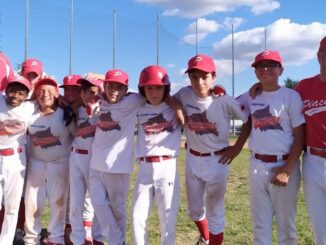 piacenza baseball