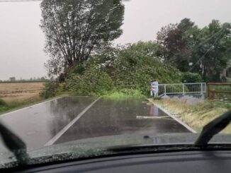 Maltempo, colpite diverse strade della Provincia. Marenghi