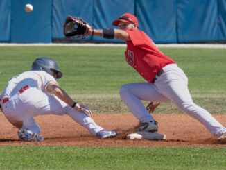 piacenza baseball