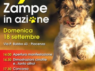 4 Zampe in Azione, la 12^ edizione domenica 18 Settembre