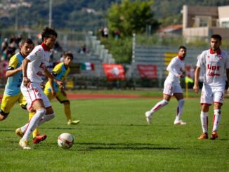 piacenza calcio