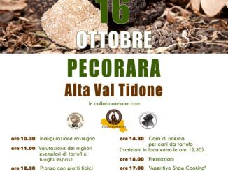 Rassegna provinciale del tartufo il 16 ottobre a Pecorara