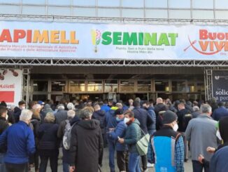 Apimell, Seminat e BuonVivere Piacenza Expo