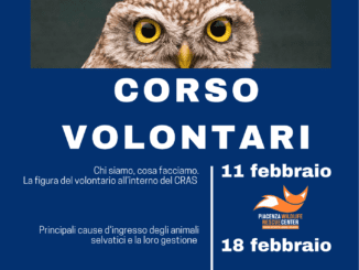 Corso per diventare volontario del Piacenza Wildlife Rescue Center l’11 e 18 febbraio - AUDIO