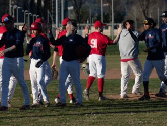 piacenza baseball