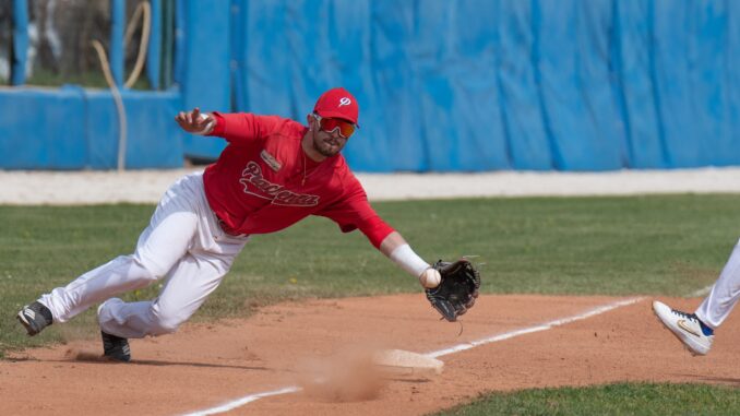 piacenza baseball