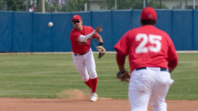 piacenza baseball