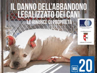 Rinunce proprietà cani