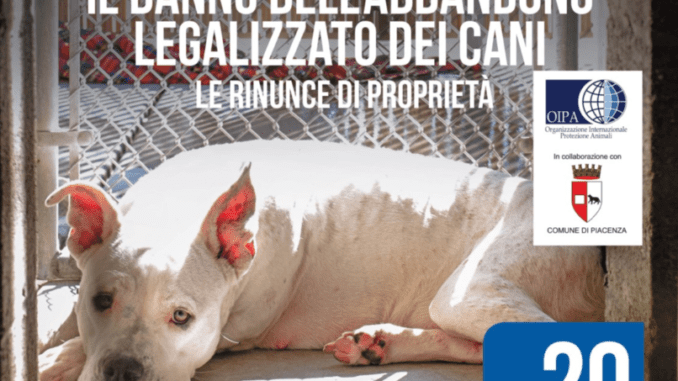 Rinunce proprietà cani