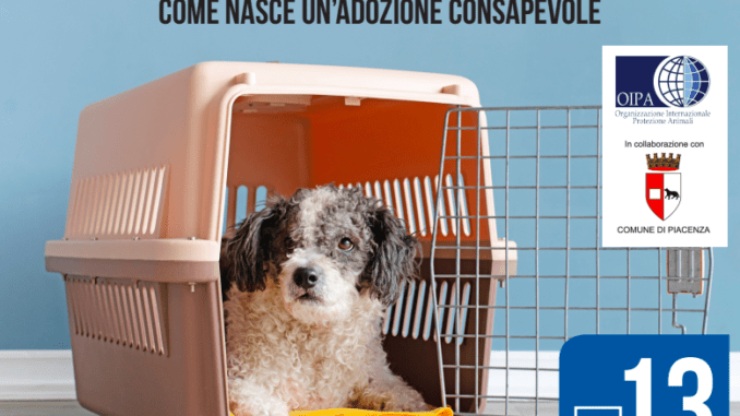 Adozioni a quattro zampe Piacenza