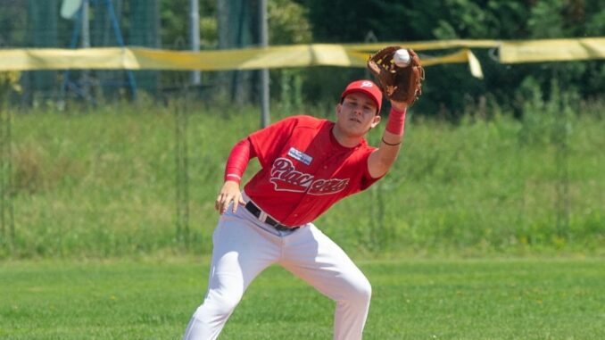 piacenza baseball