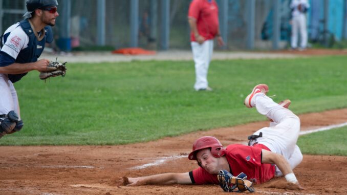 piacenza baseball