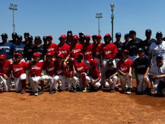 piacenza baseball