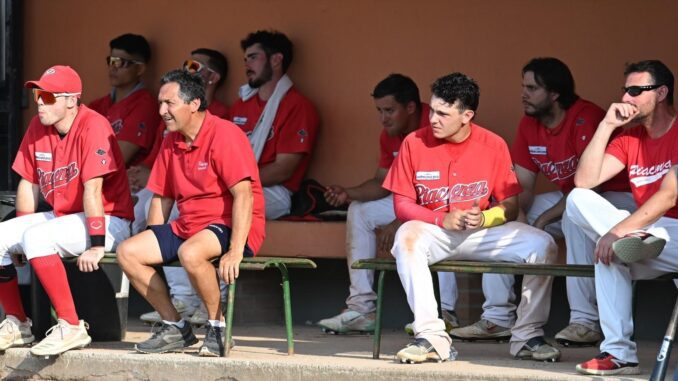 piacenza baseball