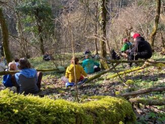 Escursione di forest bathing