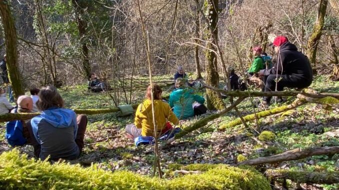 Escursione di forest bathing