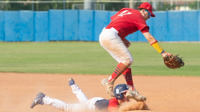 piacenza baseball