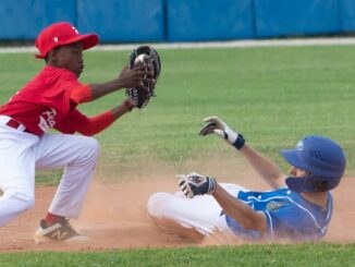 piacenza baseball