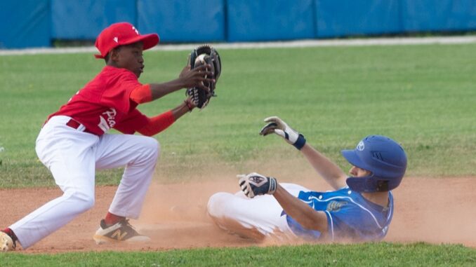 piacenza baseball