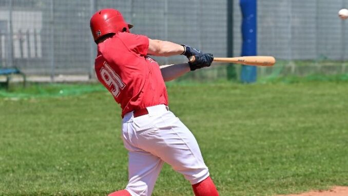 piacenza baseball