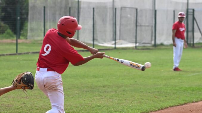 piacenza baseball