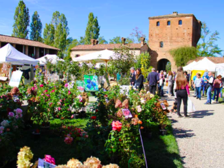 Eventi a Piacenza fino a domenica 8 Ottobre