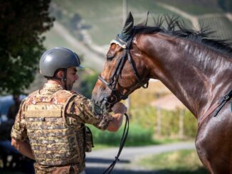 Cavalcata del Bicentenario