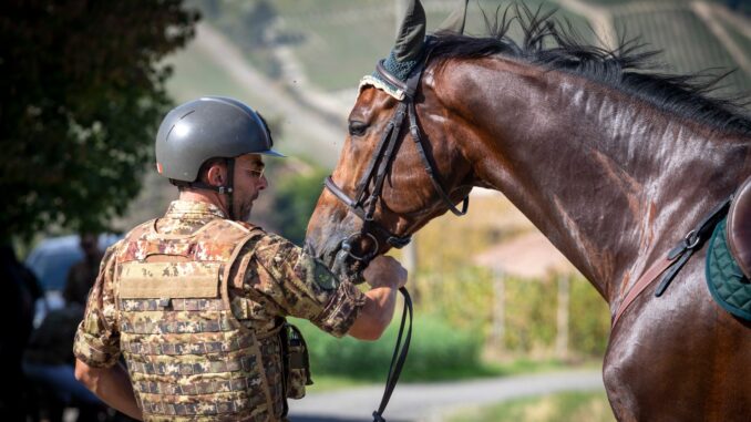 Cavalcata del Bicentenario