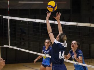 fumara miovolley